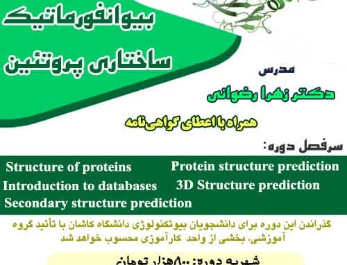 Protein structural bioinformatics course